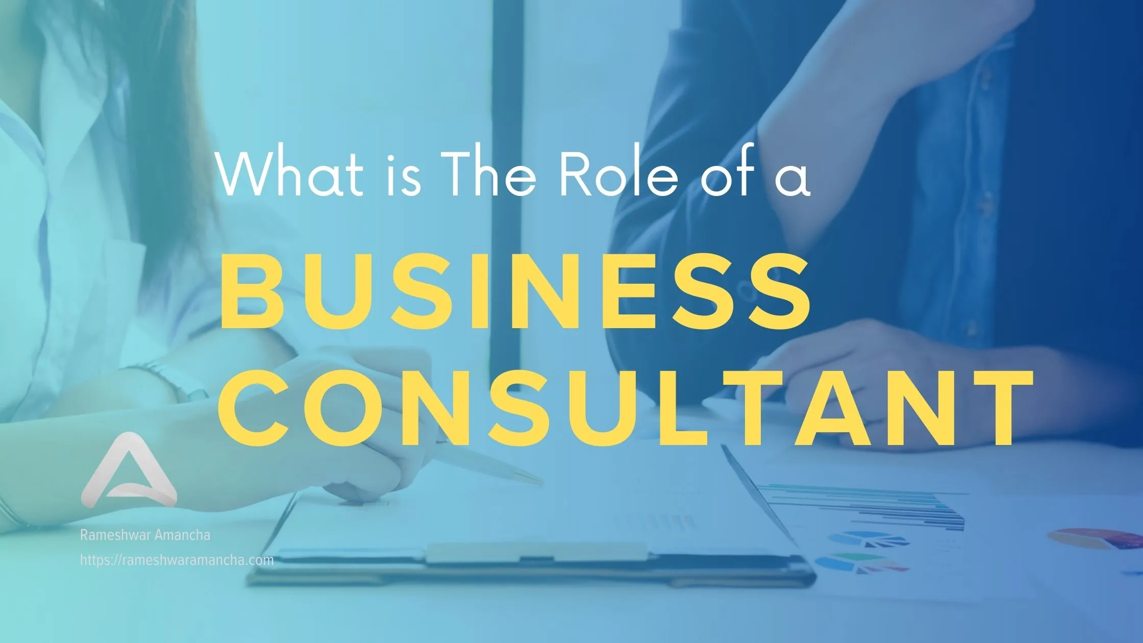 What is The Role of a Business Consultant