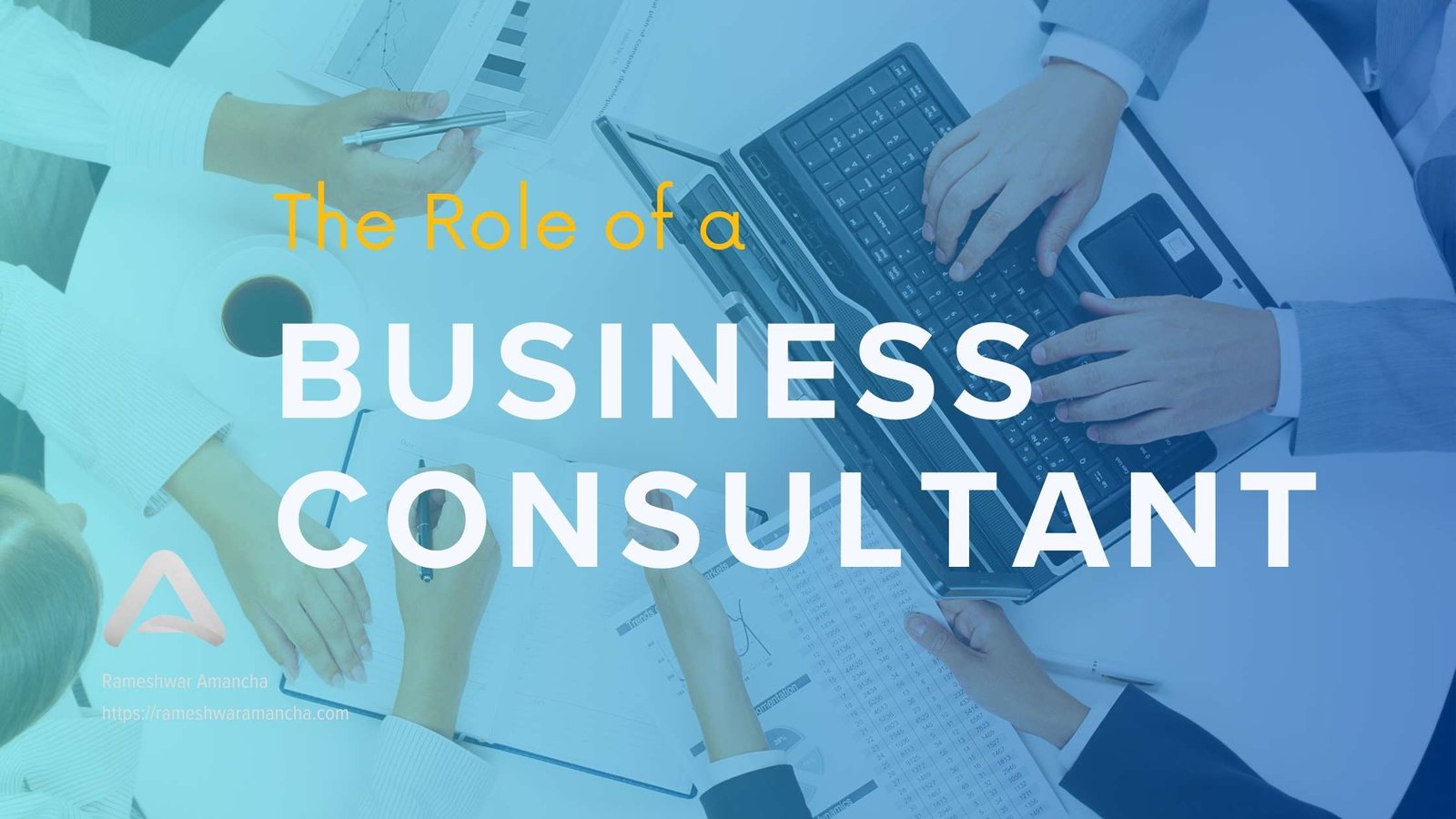 The Role of a Business Consultant